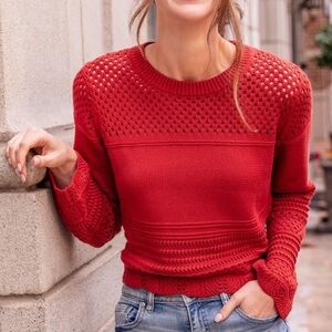 Francesca's Collection - Burnt Orange Cropped Knit Sweater